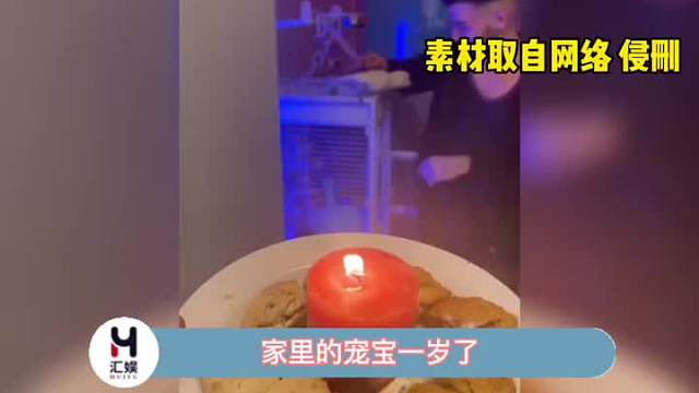 这样的主人真的好好啊，氛围简直不要太欢乐！