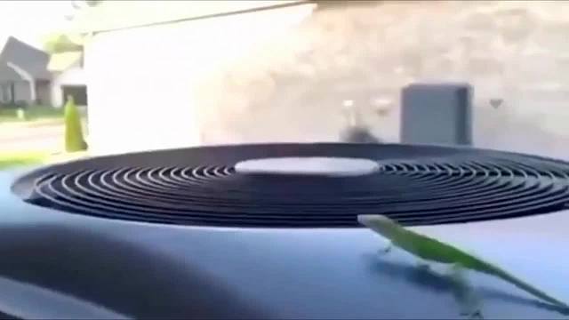 满级操作友好相处