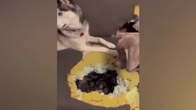 满级操作友好相处