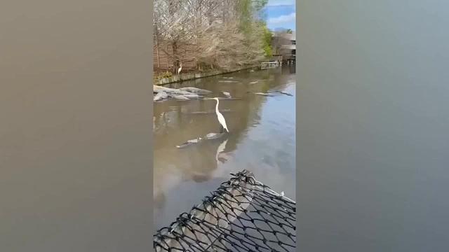 动物学院优秀毕业生