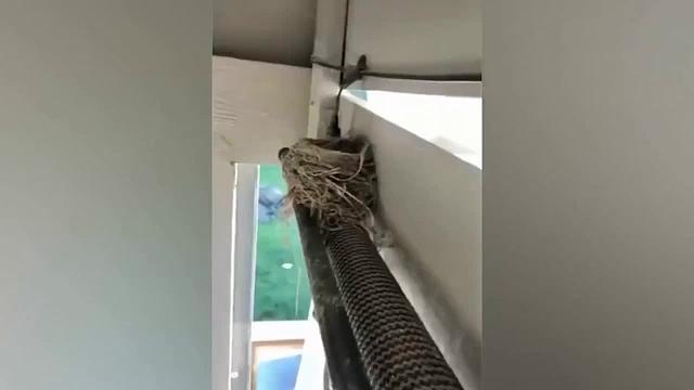 动物学院优秀毕业生