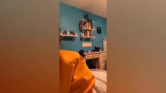 动物学院优秀毕业生