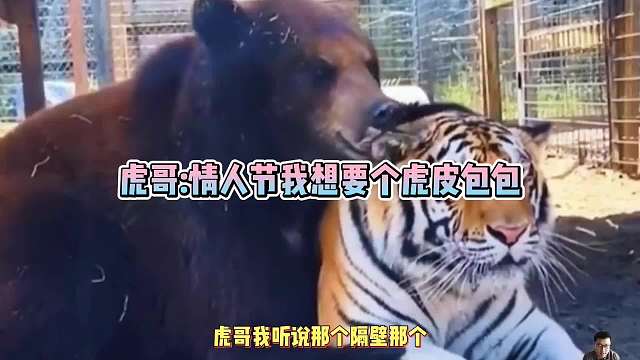 一“男子”情人节没给老婆买礼物，遭娘家人一顿暴揍！