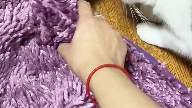  桑葚在找私房钱这方面还是很靠谱！