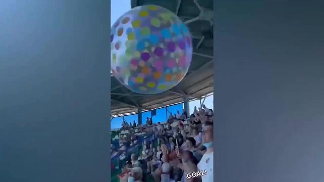 动物学院优秀毕业生