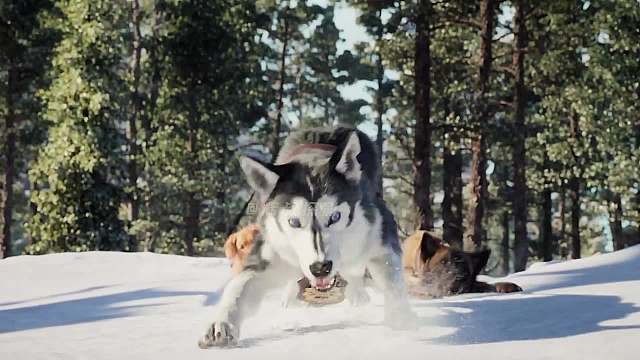 我发布了一个新视频，快来围观吧！