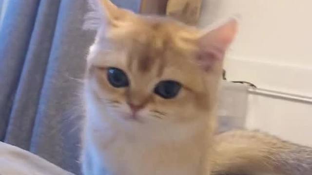 从满眼都是我到……到底经历了什么了