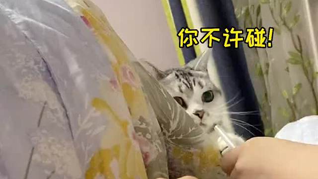 双标桑葚：我妈的东西你不许碰！