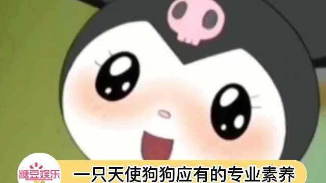 真是天使狗狗啊~~