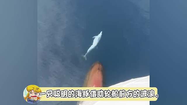 好像在花滑又好像在跳舞，好优雅