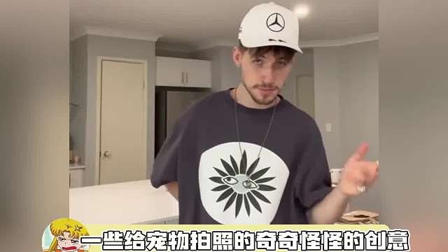 一些给宠物拍照的奇奇怪怪的创意，丑丑的可是真的很可爱很喜欢