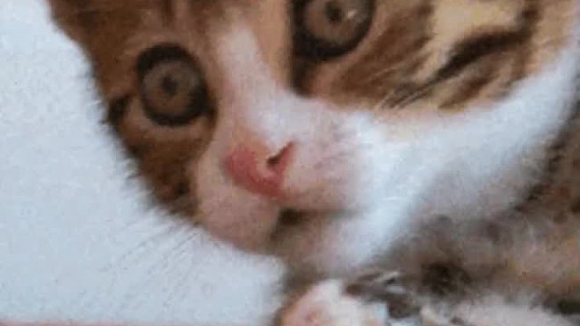 上课开小差的文具增加了，要是我以前发现的话我可以玩一整天