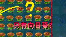 【植物大战僵尸】这些向日葵是何意？这让哈某情何以堪？