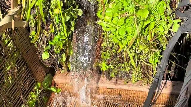  小河接鱼收获满满。