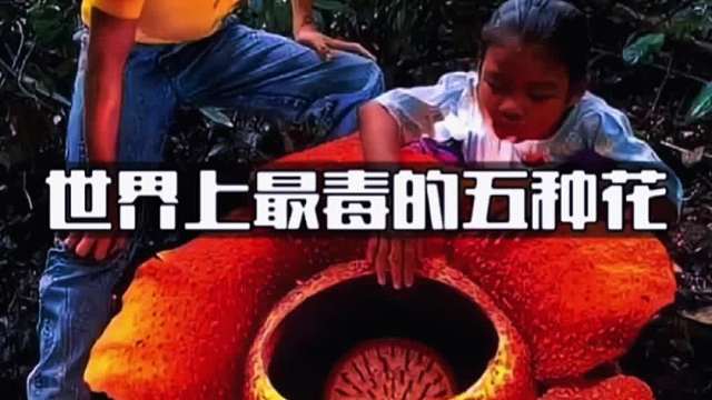 世界上最毒的五种花