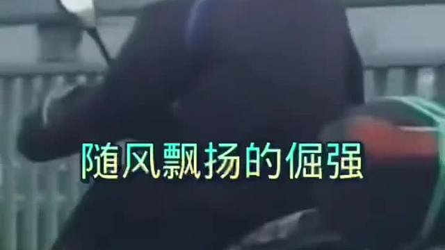 长毛黄太嘚瑟了！#搞笑#搞笑视频配音#搞笑配音