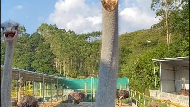 珍爱什么？远离什么？看完你会笑