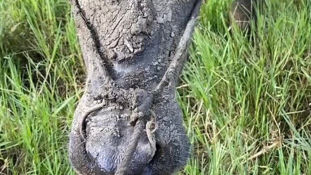 牛哥准备结婚了，没有钻戒，所以跟我换了个