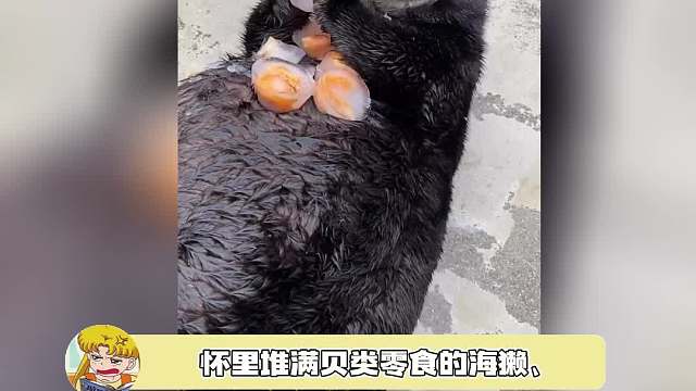 奶奶说，凉到肚子会拉肚子的……