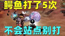 共创服鳄鱼打5次才过！不会站点这BOSS没法打！