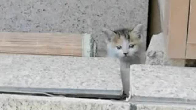 怎么办现在天气真的好冷我好担心