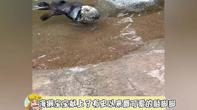 如果感到幸福你就跺跺脚~