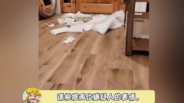 我被可爱死没有一个小可爱是无辜的