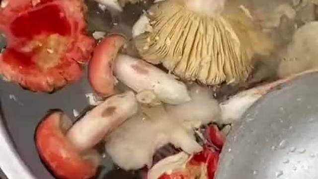 山上采的野蘑菇不要吃