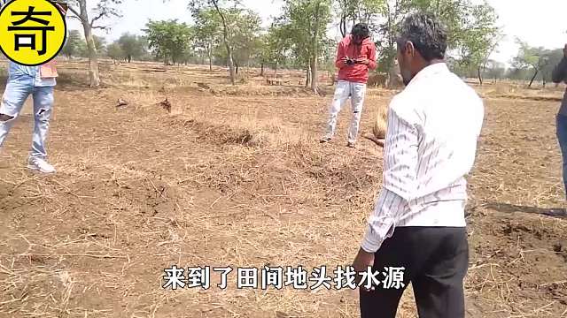 纪录片：大型神仙显灵现场，来看印度邻居们的高端操作！下