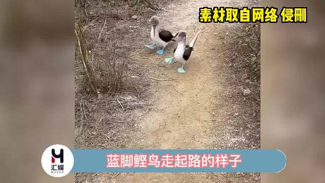 独一无二的蒂芙尼蓝新鞋，谁能忍住不显摆呢？