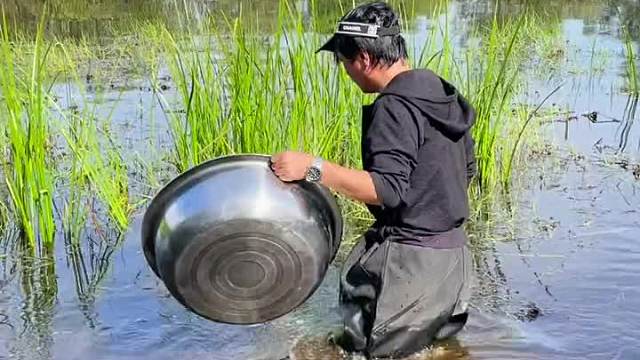 起鱼收获满满。