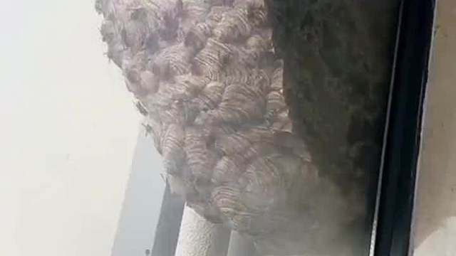 环卫工人：我＊＊＊＊！＊＊！#搞笑视频#搞笑#搞笑配音