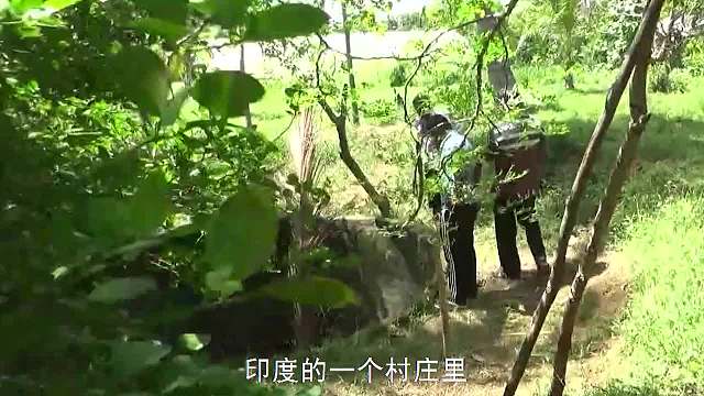井里传来凄厉惨叫，村民以为“闹鬼”，结果却吓了个寂寞！