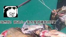 和朋友去潜水，掉进鱼窝里了#米诺可 #自由潜渔猎 #潜水 #渔猎 #赶海