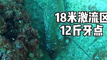 18米激流取鱼#米诺可 #潜水 #渔猎 #自由潜渔猎 #深海恐惧症