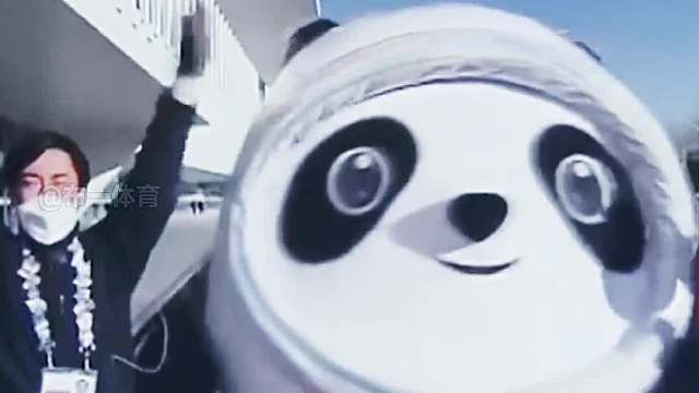 依依不舍！日本记者挥泪告白冰墩墩！