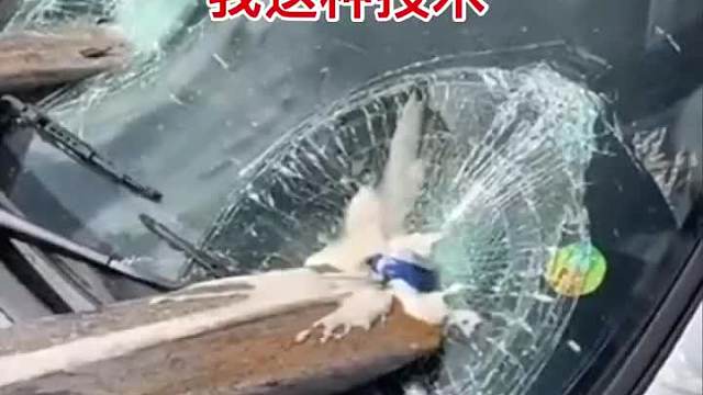 我这技术，有人要吗