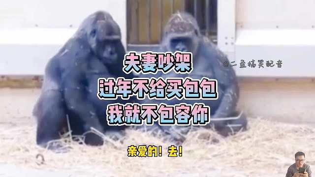 过年不给我买包包，让我怎么包容你？