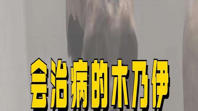 奇闻异事：木乃伊能治奇病？什么原因呢？