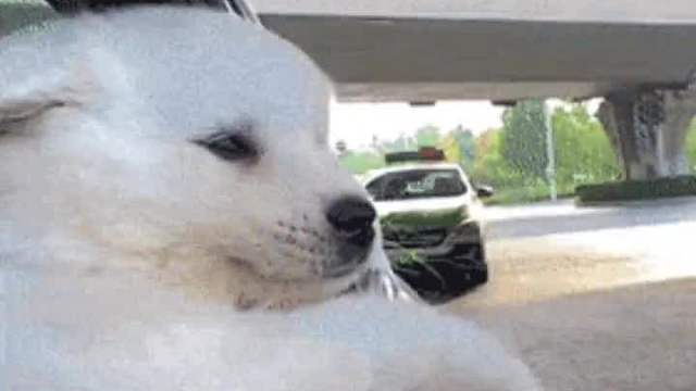 原来帅哥都是喜欢踢足球的呀！