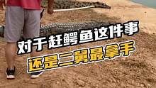对于赶鳄鱼这件事还是二舅最拿手#鳄珍 #鳄鱼