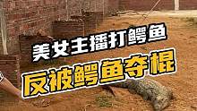 美女主播打鳄鱼反被鳄鱼夺棍#鳄珍 #鳄鱼