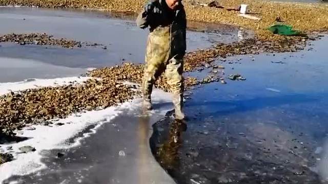  收获五条大鲫鱼。