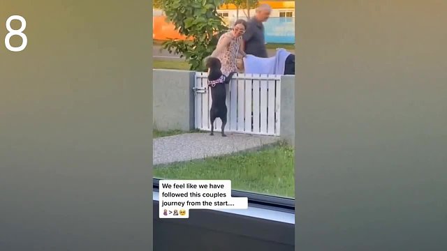 盘点动物界智商天花板