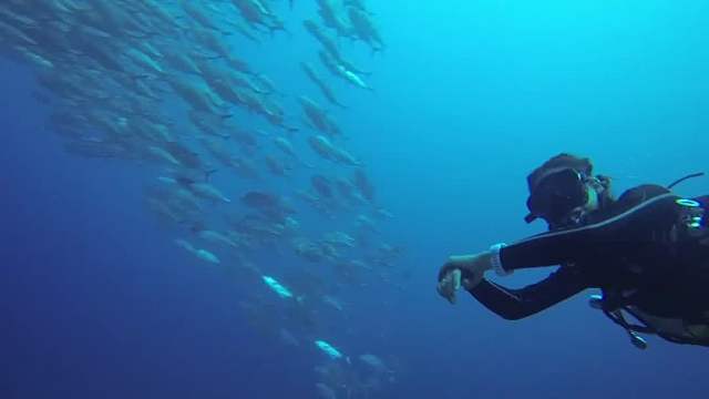 看视频都觉得要窒息了