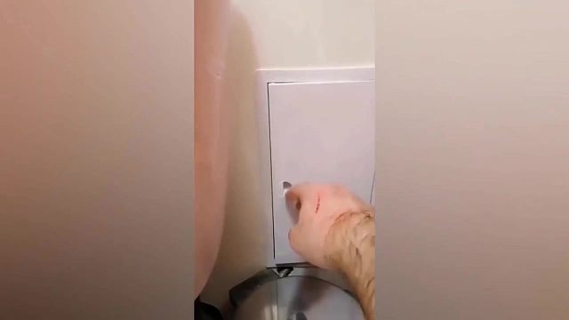 动物的千层套路