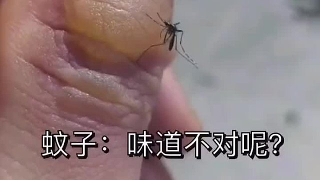 喝吧别客气！蚊子：味道不对#搞笑视频#搞笑视频配音#搞笑配音
