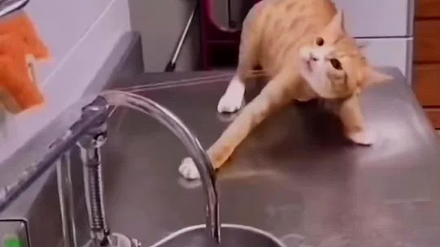 我今天必把这皮筋拉断#搞笑#搞笑视频