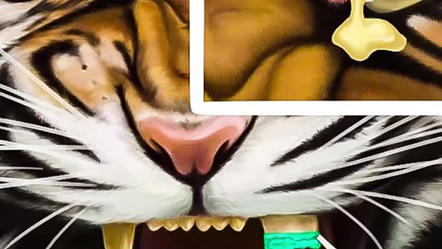 老虎被蚂蚁打的鼻青脸肿，眼睛严重感染，清理过程超解压