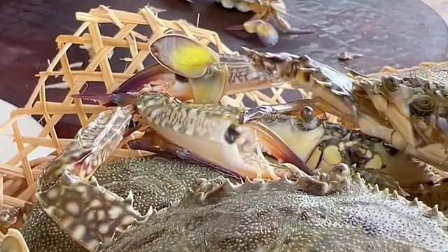 明天会怎么样我不想去多想，只要够努力勤快